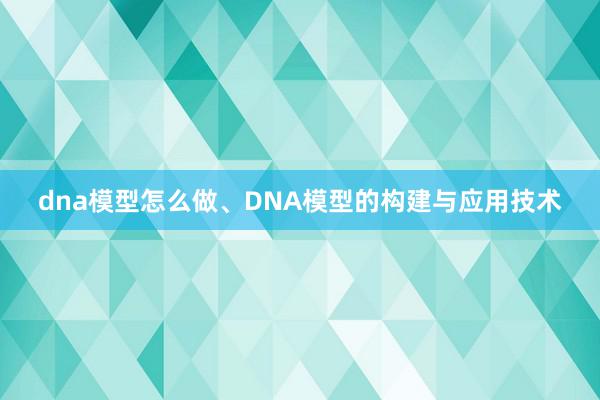 dna模型怎么做、DNA模型的构建与应用技术