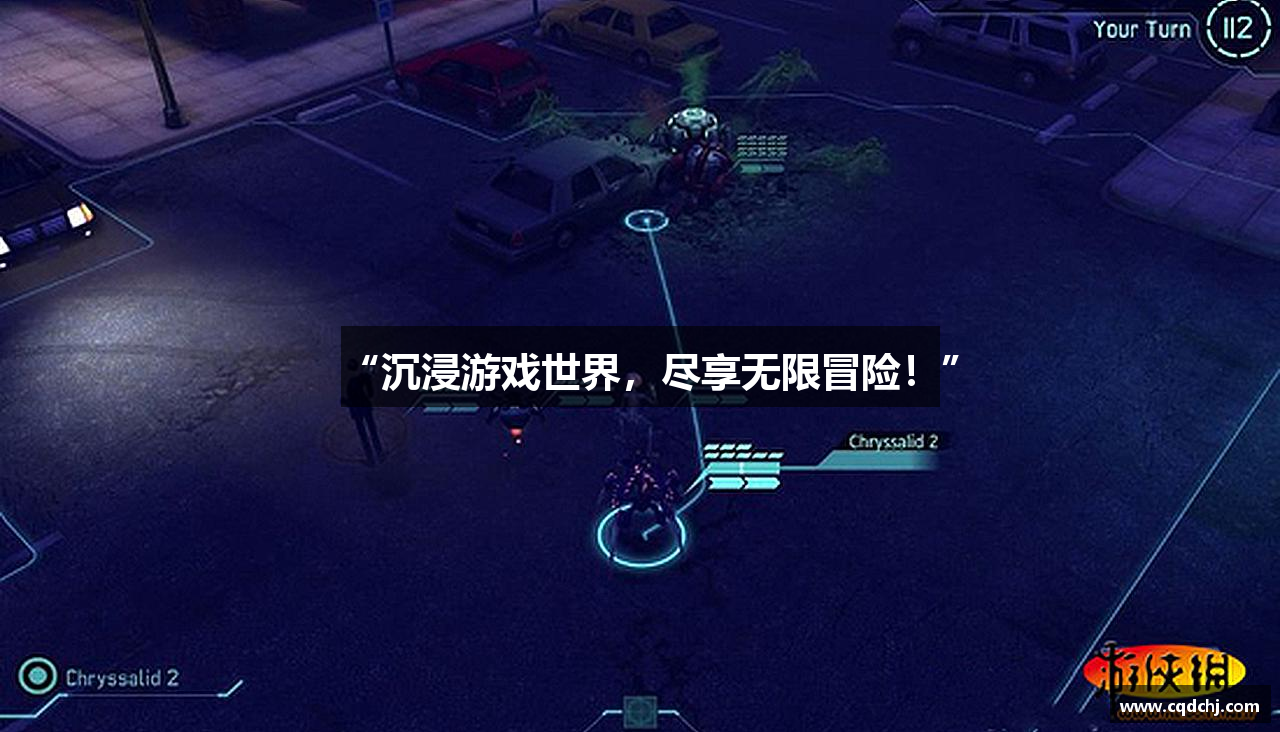 “沉浸游戏世界，尽享无限冒险！”